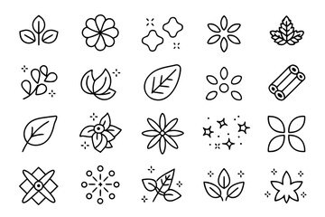 Collection of elegant linear outline symbols representing various culinary herbs and aromatic spices perfect for food related branding and informational graphics