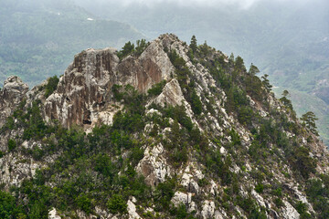 Roque de los Pinos landscape
