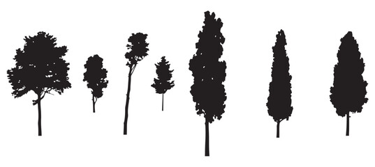 Tree Silhouette Vector Illustration