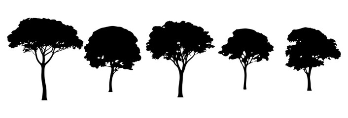 Tree Silhouette Vector Illustration