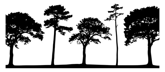 Tree Silhouette Vector Illustration