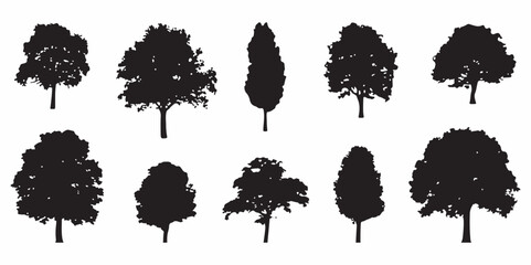 Tree Silhouette Vector Illustration