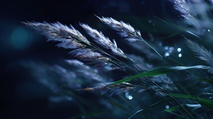 Closeup of Dewy Grass Blades at Night
