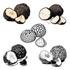 
set of black vector silhouettes of mushrooms truffles