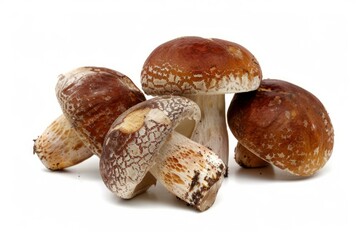 Fototapeta premium Four fresh mushrooms lying on a white background showing their stems and caps