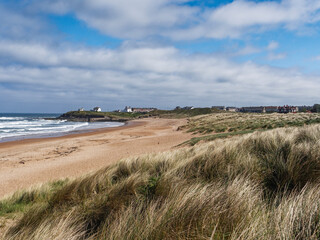 Beach and coastal grasses at Seaton Sluice, Northumberland, UK