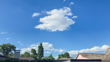 Blue sky with clouds flying birds and green branches Summer nature. White clouds