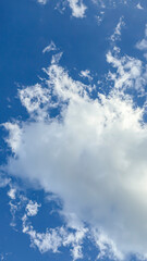 Blue sky with clouds flying birds and green branches Summer nature. White clouds
