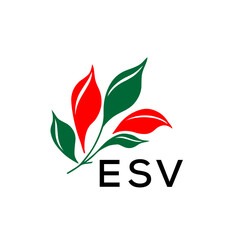 ESV Abstract Botanical Logo with Elegant Typography, ESV  Later Logo, Modern Nature Inspired Logo with Red and Green Leaves.
