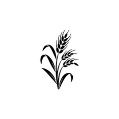 Fototapeta premium Bundle of Wheat Ears: Organic Grain, Harvest, Agriculture Symbol