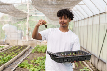 Multiracial teenage boy smiling slightly while presenting seedling and tray inside greenhouse...