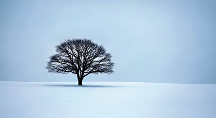 Lone Tree Silhouette in Serene Snowy Landscape Winter