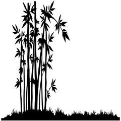 Obraz premium Green bamboo trees with delicate leaves form a serene forest illustration, perfect for a natural Asian-inspired design