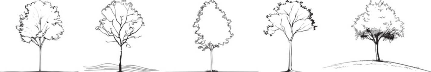 Tree Silhouette Collection, Isolated on White Background, Vector Illustration.
