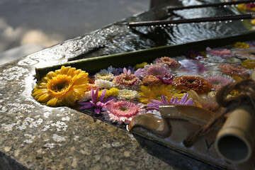午後の日が差す美しい花手水