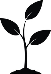 Young sapling tree with two leaves and small roots