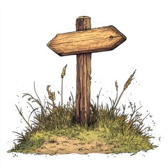 A wooden directional signpost stands in a grassy patch with wild plants, pointing to the right on a white background.