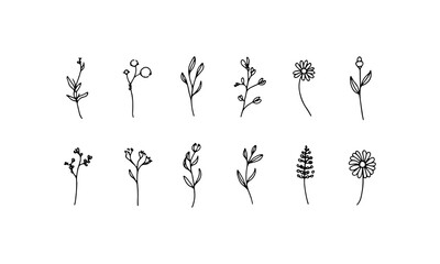 Graceful Hand-Drawn Flowers. Graceful flower stems with varied bloom types drawn in soft thin lines for light floral designs.