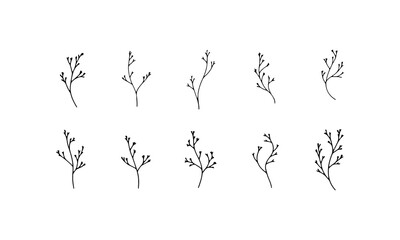 Minimalist Botanical Line Set. A clean set of hand-drawn botanical elements with simple stems and leaves in fine line style, perfect for modern compositions, eco design, and branding.