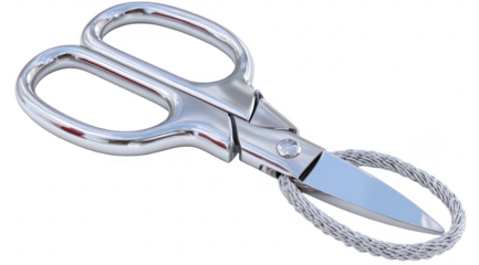 Polished metal shears with cord