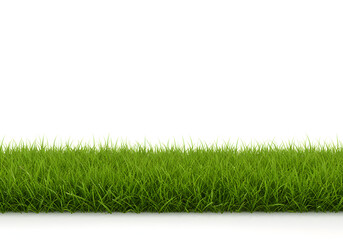 Vibrant Green Grass Strip on White Background