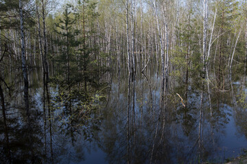 Ukraine Kyiv region landscape with river on a cloudy autumn day