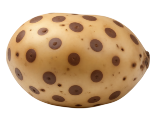 Unique Fruit with Circular Markings Resembling Chocolate Chips