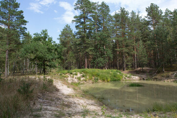 Ukraine Kyiv region landscape on a cloudy spring day