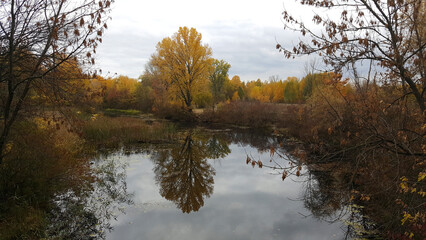 Ukraine Kyiv region autumn landscape