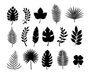 Obraz premium Summer tropical plant leaf silhouette illustration set