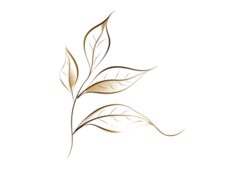golden line art hand-drawn leaves isolated on white or transparent png