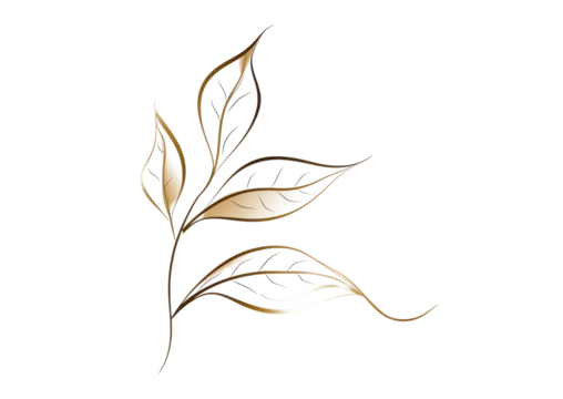 golden line art hand-drawn leaves isolated on white or transparent png