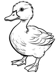 cute duck coloring pages