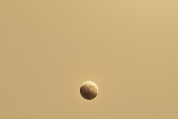 create a photo of a potential planet in the cosmos, the image should have an ivory tone and feature a view from space looking down at the planet