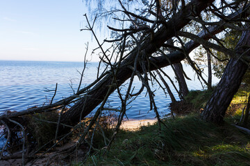 Ukraine Kiev Sea on a sunny summer day