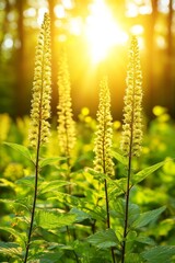 Tranquil Nature Scene Featuring Lush Greenery, Vibrant Floral Blooms, and Soothing Sunlight Glow