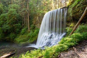Waterfall in Silver Falls State Park in Oregon.
Summer season, hiking trails without people, romantic landscape with a river and waterfall. Sunny weather.