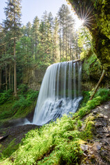 Waterfall in Silver Falls State Park in Oregon.
Summer season, hiking trails without people, romantic landscape with a river and waterfall. Sunny weather.