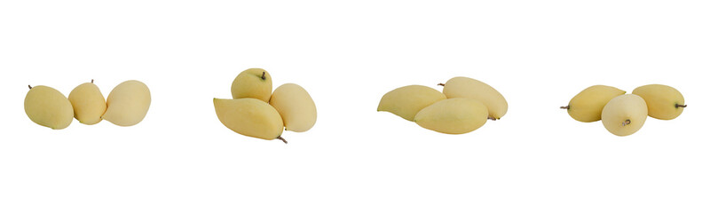 loquat fruit still life, isolated on transparent background