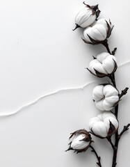 create a black and white image featuring cotton fibers with a textured background, position a clear subject on the left side of the frame