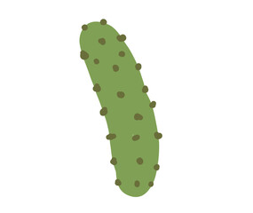 Hand drawn green cucumber with dark spots on white background.