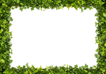 Fototapeta premium Vibrant Green Leaf Border Frame on White Background