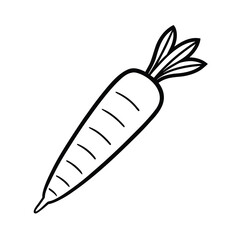 vibrant carrot vector illustration