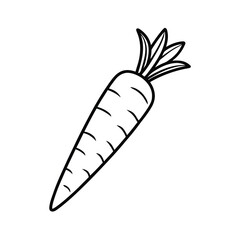vibrant carrot vector illustration