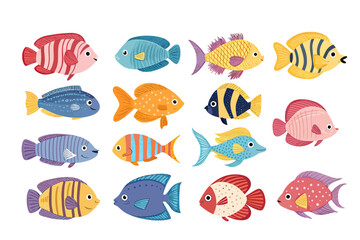 Collection of cute and colorful  fish illustrations on white background
