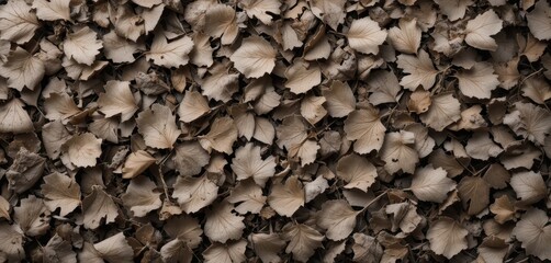 Muted Brown Leaves Background with Textured Detail for Fall Season Design