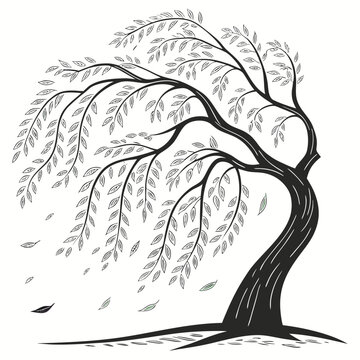 Stylized weeping willow tree with falling leaves nature