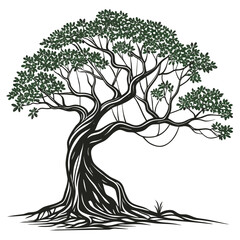 Majestic green foliage on a twisting black tree banyan © RABBY