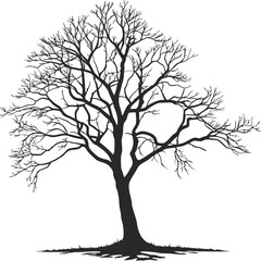 Black bare tree silhouette on white leafless