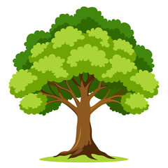 Lush green tree with brown trunk and branches nature © RABBY